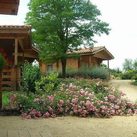 Auberge Du Flambadou Villematier Extérieur photo